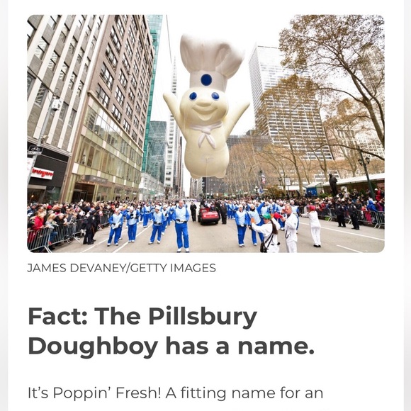 - #7 Follow Game 🐾🐶 - Picture 4 of 16